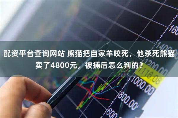 配资平台查询网站 熊猫把自家羊咬死，他杀死熊猫卖了4800元，被捕后怎么判的？
