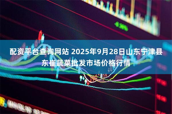 配资平台查询网站 2025年9月28日山东宁津县东崔蔬菜批发市场价格行情